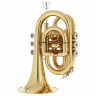 Thomann TR 25 Bb-Карманная труба Thomann TR 25 Bb-Pocket Trumpet