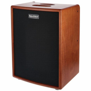 Комбоусилитель Hughes&Kettner ERA 2 Wood