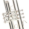 Bach TR-450S Bb- Труба Bach TR-450S Bb- Trumpet
