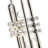 Bach TR-450S Bb- Труба Bach TR-450S Bb- Trumpet