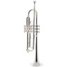 Bach TR-450S Bb- Труба Bach TR-450S Bb- Trumpet