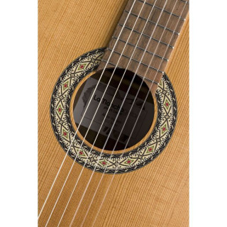 La Mancha Aliso Macizo La Mancha Aliso Macizo