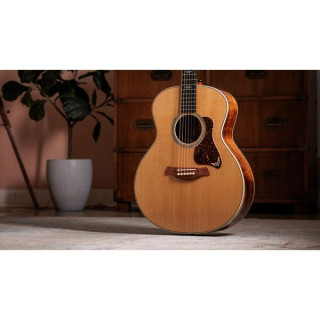 Золотая этикетка Taylor 814e Koa Taylor Gold Label 814e Koa