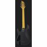 Schecter Demon-6 Сатиновый черный Schecter Demon-6 Satin Black