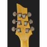 Schecter Demon-6 Сатиновый черный Schecter Demon-6 Satin Black