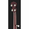 Банджо Deering Artisan Goodtime OB 5 Deering Artisan Goodtime OB 5