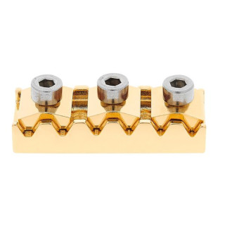 Контргайка Floyd Rose порожек R2 Gold Floyd Rose Locking Nut R2 Gold