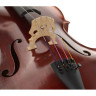 Виолончель Gewa Maestro 2 Cello 3/4 Gewa Maestro 2 Cello 3/4