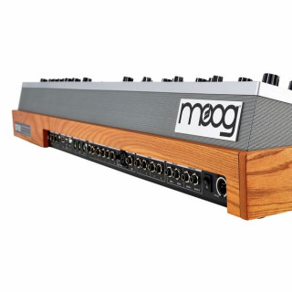 Муг Один - 16 Moog One - 16