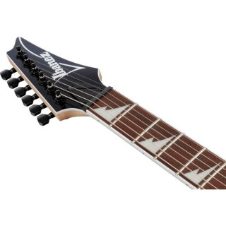 Ibanez RG421DX-TWS Ibanez RG421DX-TWS