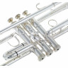 Труба C.G.Conn 52B- SP C.G.Conn 52B- SP Trumpet