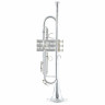Труба C.G.Conn 52B- SP C.G.Conn 52B- SP Trumpet