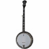 Банджо Deering Eagle II 5-string Banjo