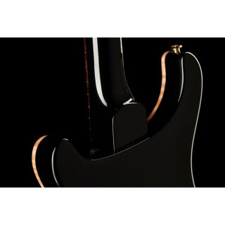 PRS Special полупустотелый 10 Top FW PRS Special Semi-Hollow 10 Top FW