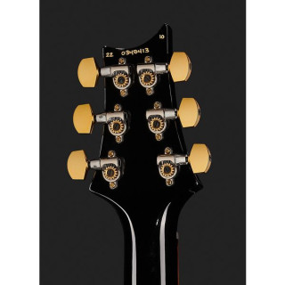 PRS Special полупустотелый 10 Top FW PRS Special Semi-Hollow 10 Top FW