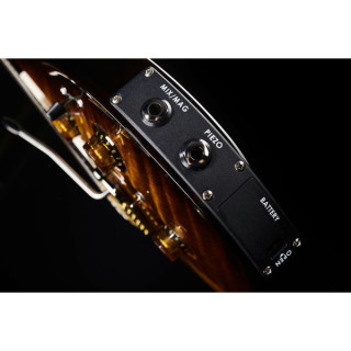 PRS Custom 24 Пьезо BW PRS Custom 24 Piezo BW