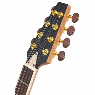 Томанн Бузуки-Гитарный стандарт Thomann Bouzouki-Guitar Standard