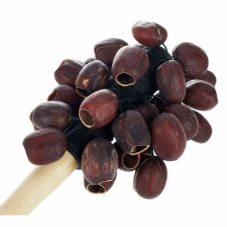 Семена Кемири Терре-Стик-Шейкер Terre Stickshaker Kemiri Seeds