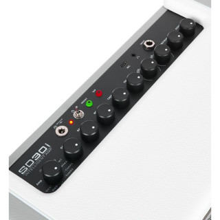 Mooer SD30i Моделирующий гитарный комбо Mooer SD30i Modeling Guitar Combo