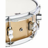 DW PDP 14"x5" Concept Бронзовый DW PDP 14"x5" Concept Bronze