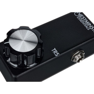 Методы микроэкспрессии Вестминстерских эффектов Westminster Effects Micro Expression TRS