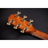 Тейлор C25ce B6005 Custom #5 Taylor C25ce B6005 Custom #5