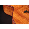 Тейлор C25ce B6005 Custom #5 Taylor C25ce B6005 Custom #5