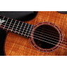 Тейлор C25ce B6005 Custom #5 Taylor C25ce B6005 Custom #5