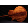 Тейлор C25ce B6005 Custom #5 Taylor C25ce B6005 Custom #5