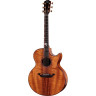 Тейлор C25ce B6005 Custom #5 Taylor C25ce B6005 Custom #5