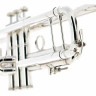 Труба Bach ML190S43 Bb- Trumpet silver Bach ML190S43 Bb- Trumpet silver