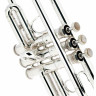 Труба Bach ML190S43 Bb- Trumpet silver Bach ML190S43 Bb- Trumpet silver