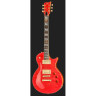 ESP Eclipse USA Распа Berry ESP Eclipse USA Raspberry