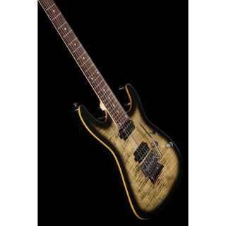 Harley Benton Fusion-III HH FR EB FCB Harley Benton Fusion-III HH FR EB FCB