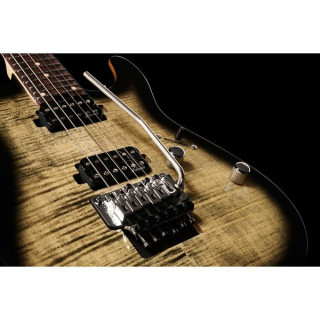 Harley Benton Fusion-III HH FR EB FCB Harley Benton Fusion-III HH FR EB FCB