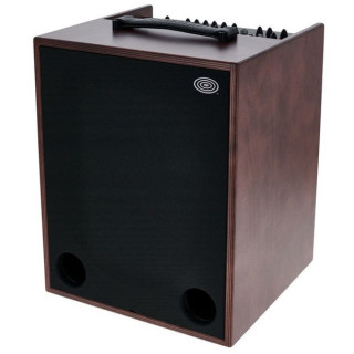 Комбоусилитель Schertler UNICO X