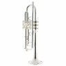 Звуковая труба Адамса, покрытая серебром Adams Sonic Trumpet Silver plated