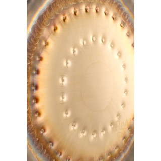 Настоящий гонг 24"/60 см Planet Gong Sid Moon RealGong 24"/60cm Planet Gong Sid Moon