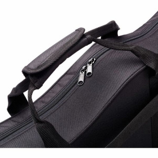 Дело Томанна Виолы Амарантины Thomann Viola Amarantina Case