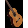 Альгамбра 2С вкл. Спортивная сумка Alhambra 2C incl. Gig Bag
