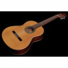 Альгамбра 2С вкл. Спортивная сумка Alhambra 2C incl. Gig Bag