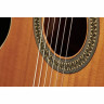 Альгамбра 2С вкл. Спортивная сумка Alhambra 2C incl. Gig Bag