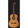 Альгамбра 2С вкл. Спортивная сумка Alhambra 2C incl. Gig Bag