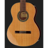 Альгамбра 2С вкл. Спортивная сумка Alhambra 2C incl. Gig Bag