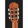 Альгамбра 2С вкл. Спортивная сумка Alhambra 2C incl. Gig Bag
