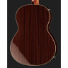 Альгамбра 2С вкл. Спортивная сумка Alhambra 2C incl. Gig Bag