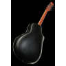 Овация знаменитости Эл. Плюс CE44LX-1R-G Ovation Celebrity El. Plus CE44LX-1R-G