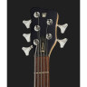 Стример Warwick RockBass 5 NBT Warwick RockBass Streamer 5 NBT