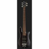 Стример Warwick RockBass 5 NBT Warwick RockBass Streamer 5 NBT