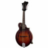Мандолина The Loar LM-310F-BRB
